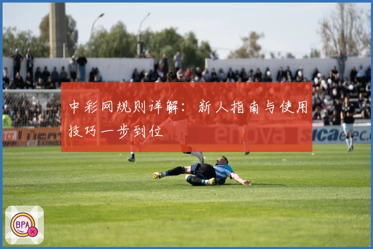 中彩网规则详解：新人指南与使用技巧一步到位