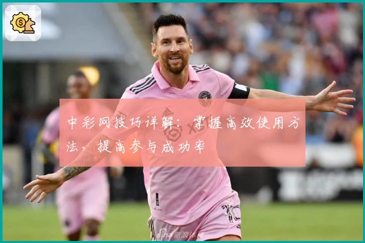 中彩网技巧详解：掌握高效使用方法，提高参与成功率