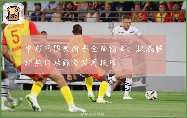 中彩网预测新手全面指南：权威解析热门功能与实用技巧