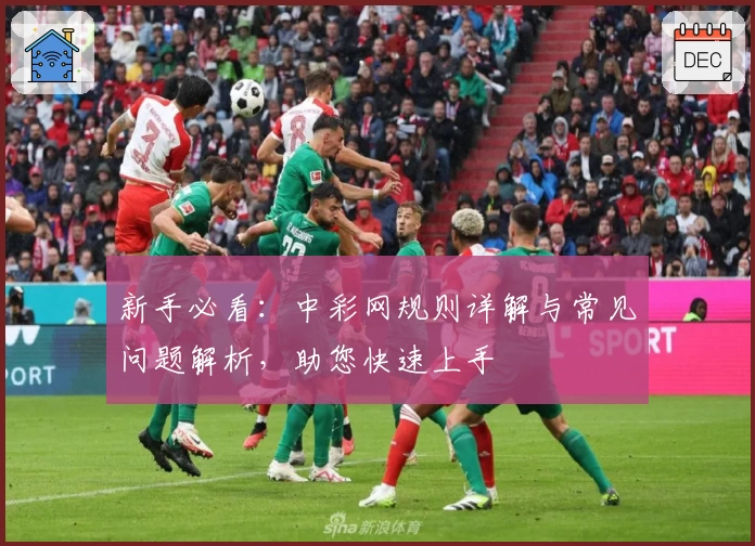 新手必看：中彩网规则详解与常见问题解析，助您快速上手