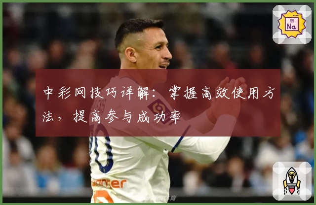 中彩网技巧详解：掌握高效使用方法，提高参与成功率