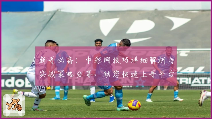 新手必备：中彩网技巧详细解析与实战策略分享，助您快速上手平台核心功能